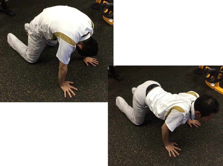 四つん這い胸開き